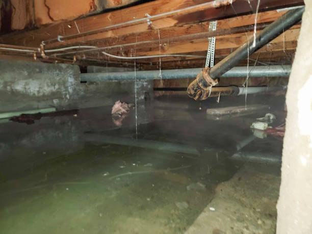 Best Sewage cleanup and water damage restoration  in Levittown, NY