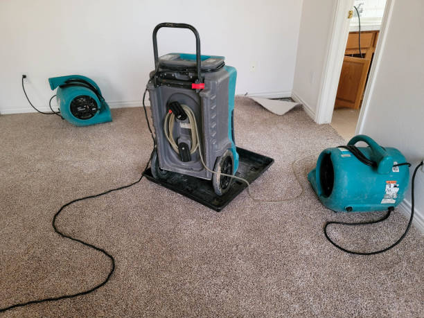 Best Local water damage restoration  in Levittown, NY