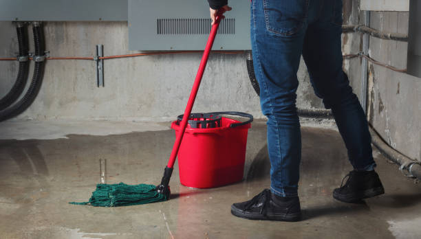 Best Ceiling water damage repair  in Levittown, NY