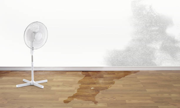 Best Water damage restoration near me  in Levittown, NY