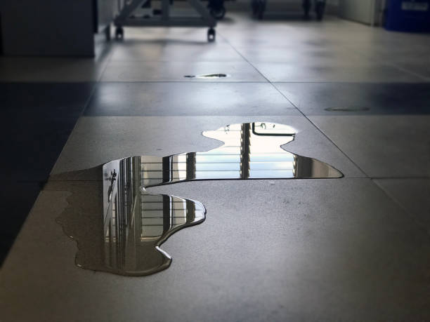 Best Water damage restoration cost  in Levittown, NY