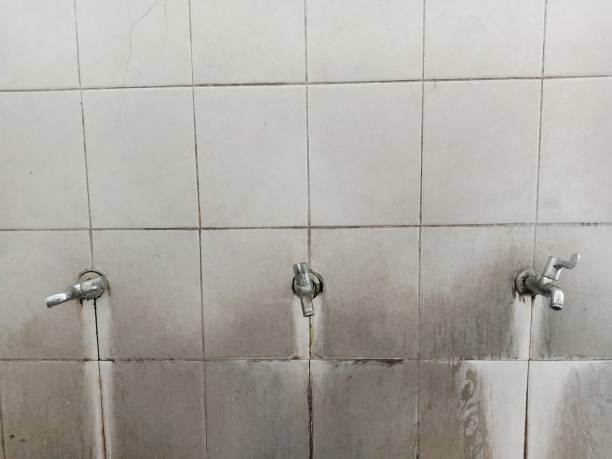 Best Water damage restoration near me  in Levittown, NY