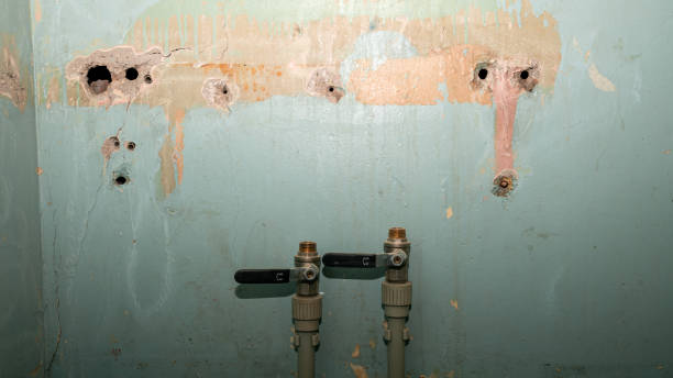 Best 24/7 water damage repair  in Levittown, NY