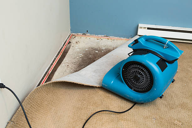 Best Water damage cleanup near me  in Levittown, NY